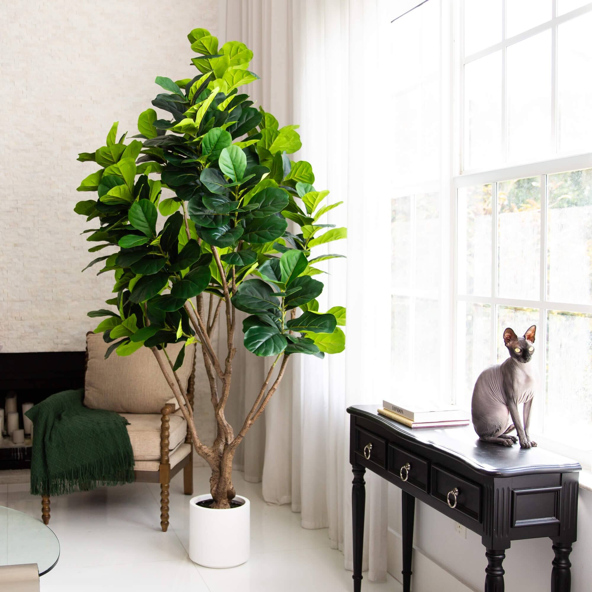 8ft. Artificial Grand Fiddle Leaf Tree in White Decorative Planter
